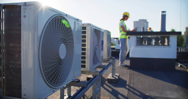 Best Air Duct Mold Removal  in Ogden, UT
